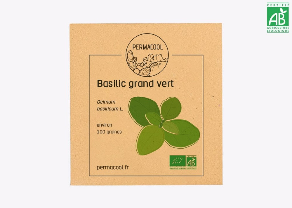 Mon premier potager