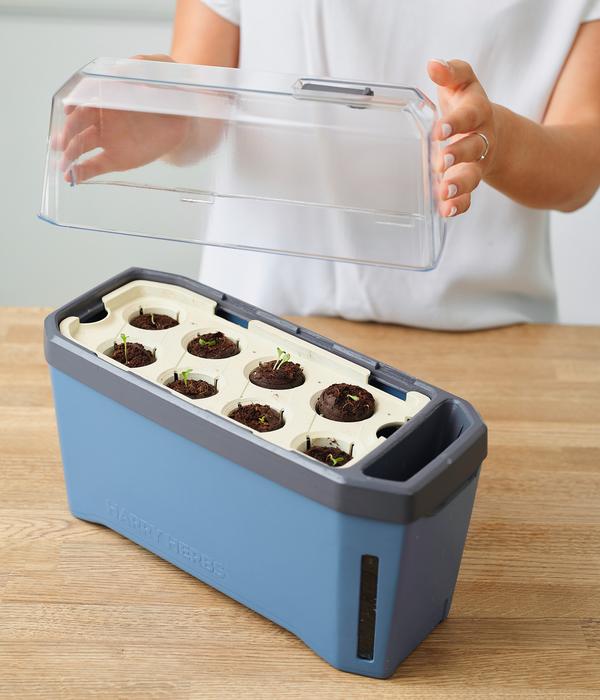 Gusta Garden Kräutertopf Harry Herbs mit