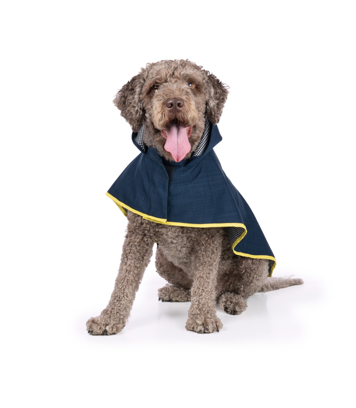 Capa de chuva para cães Groc Groc Lola 3 Softshell azul marinho