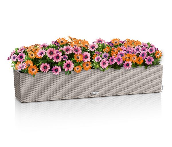 LECHUZA® Kunststoff-Kasten Balconera Cottage,