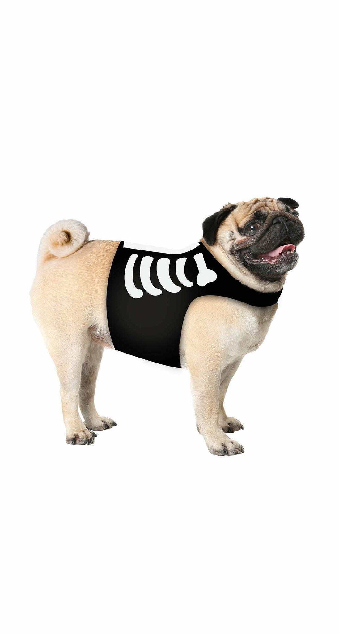 Halloween Dieren Kostuum Skelet