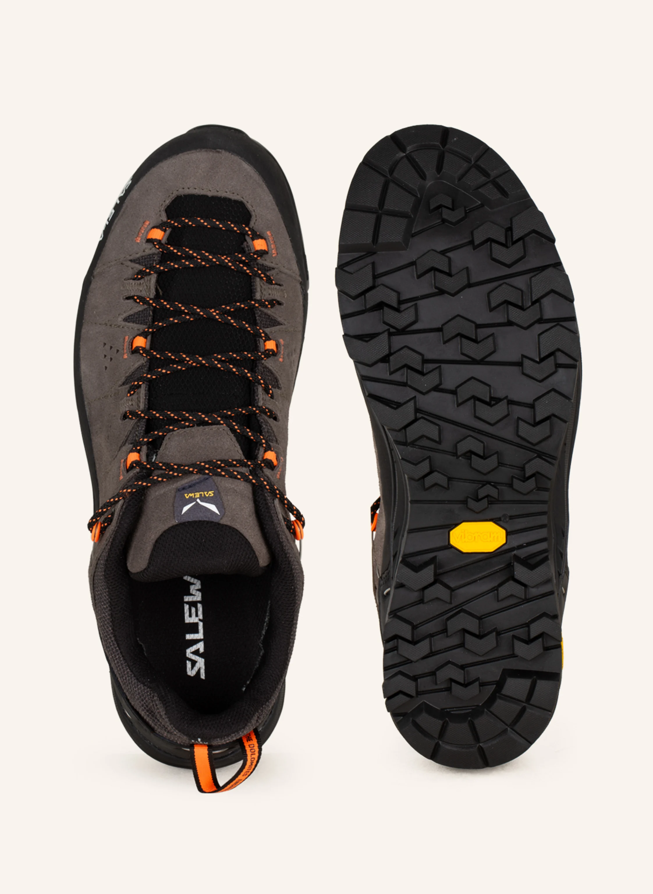 SALEWA Wanderschuhe ALP TRAINER 2 GTX