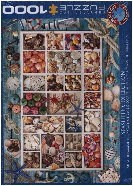 Muschelsammlung (Puzzle)