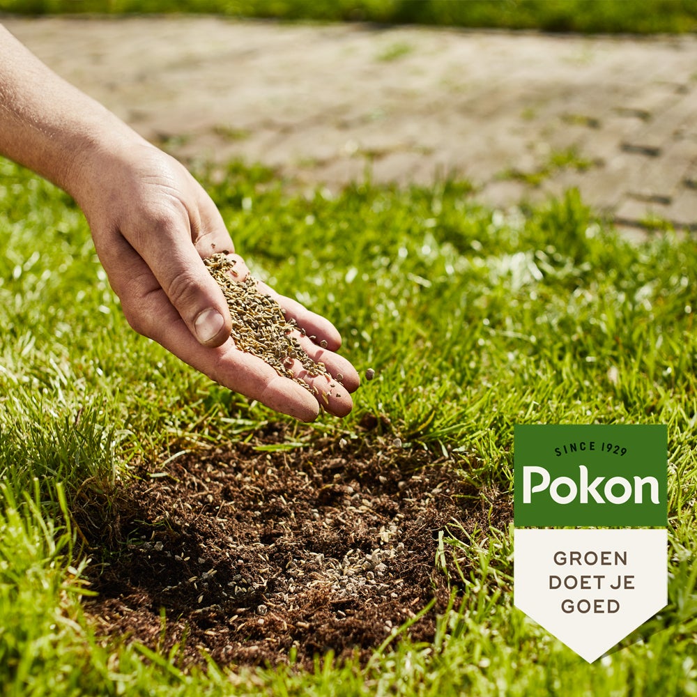 Pokon kale plekken hersteller 200 gr