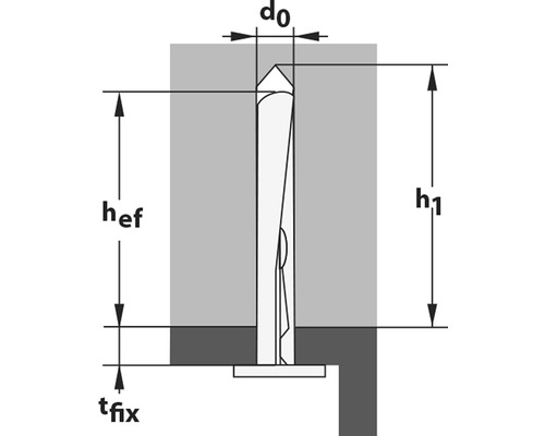 Plafondspijker Top Tox Ø 6x65 mm, 100 stuks