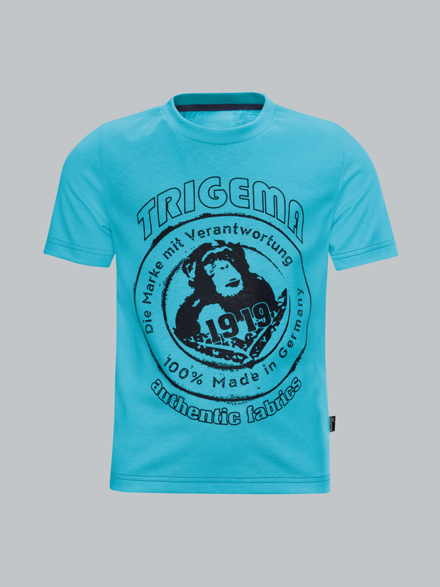 T-Shirt mit großem Printmotiv 