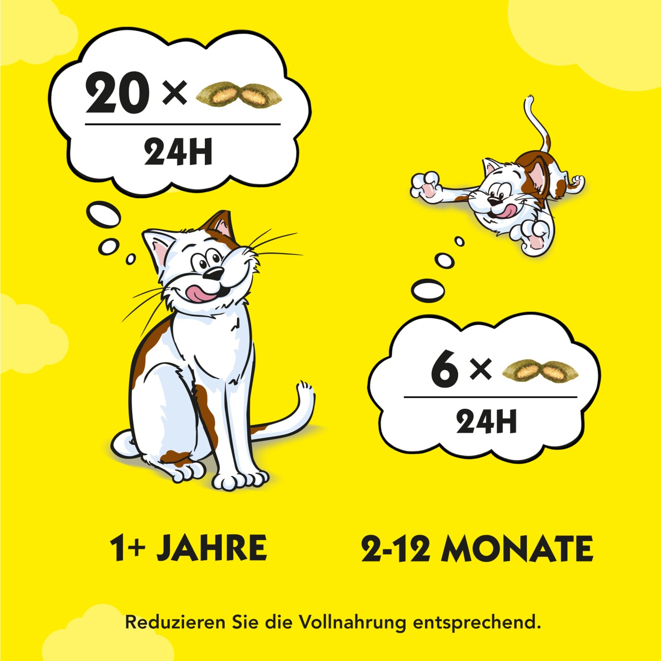 Dreamies 6x60g Katzenminze