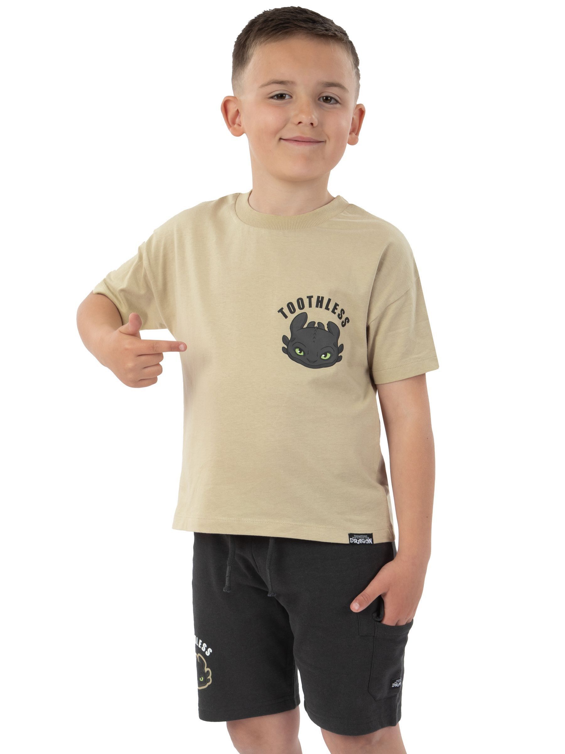 Character How To Train Your Dragon Print T-Shirt And Shorts Set