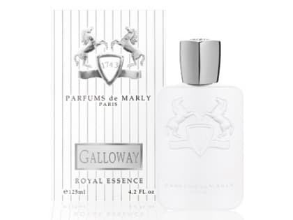 Parfums de Marly Galloway EDP U 125 ml