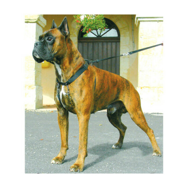 Harnais Sympa Dog pour éducation canine