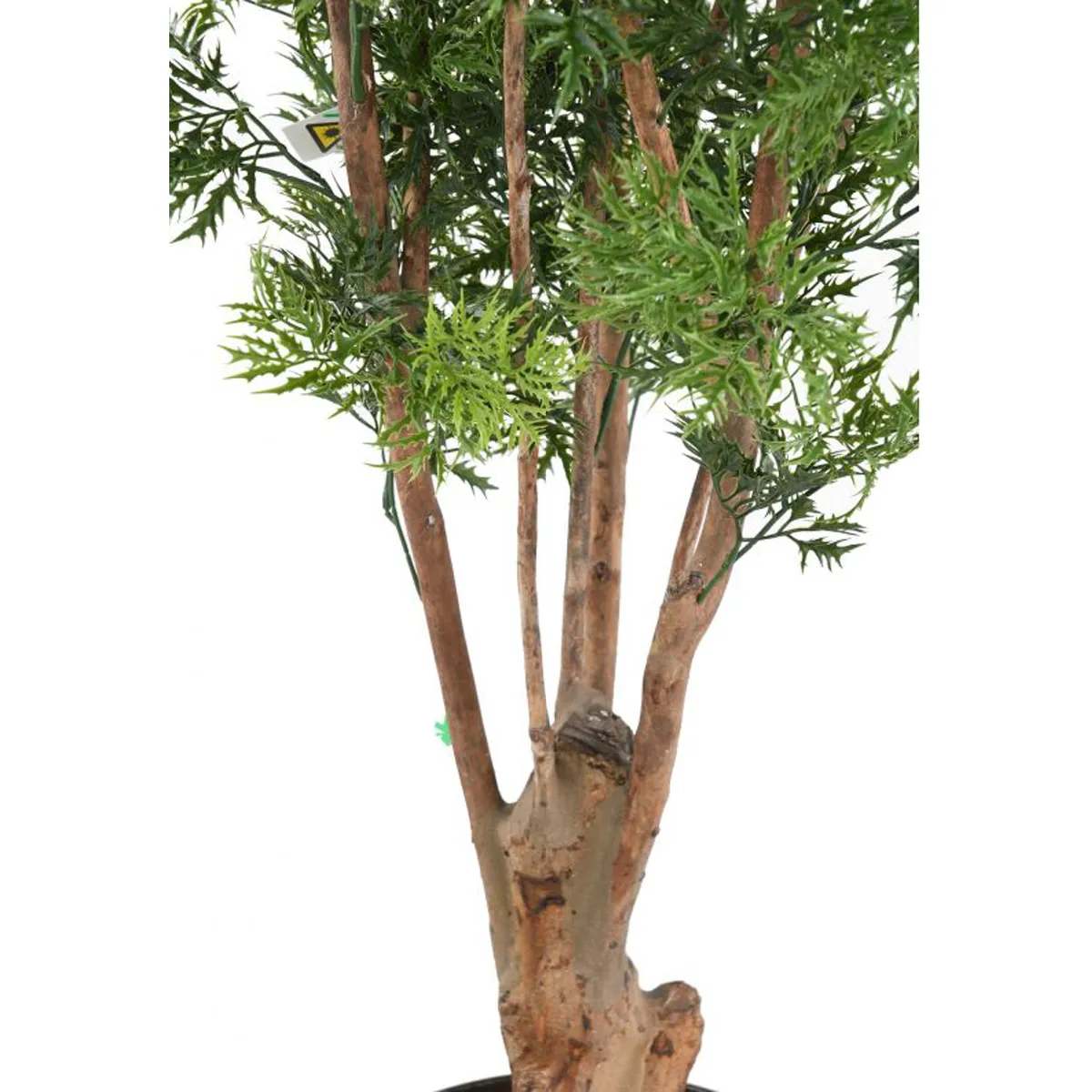 Pegane Aralia artificiel - H.165 cm - Vert