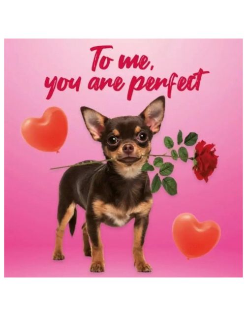 Plenty Gifts Kaart You Are Perfect - Cadeau - 13.7x13.7 cm
