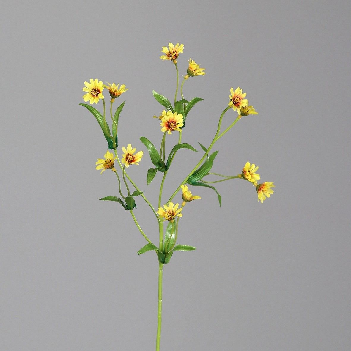Kunstblume ZINNIE