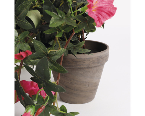 Hangende kunstpetunia, 25 cm hoog, roze