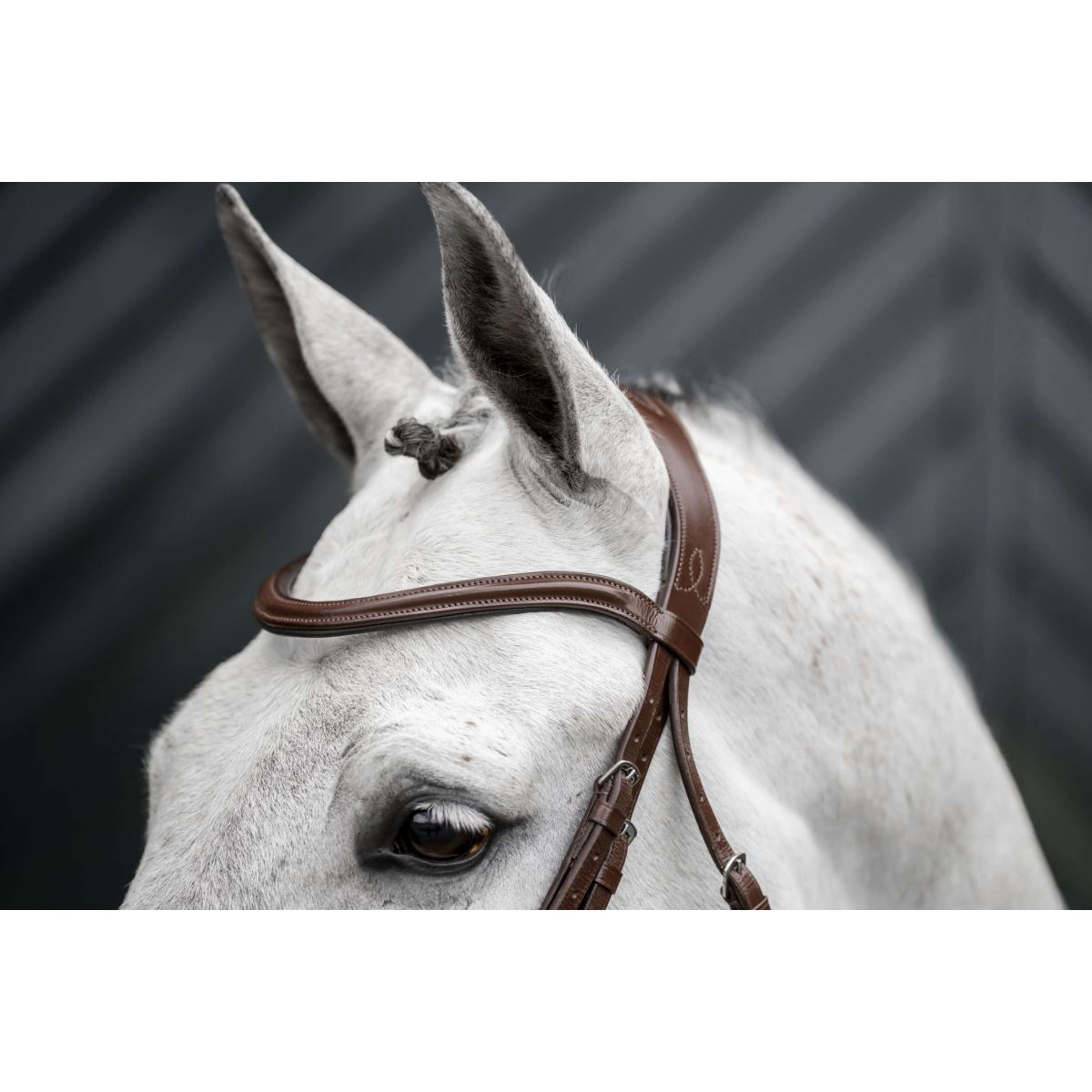 Horseware Hoofdstel Dressage Bruin