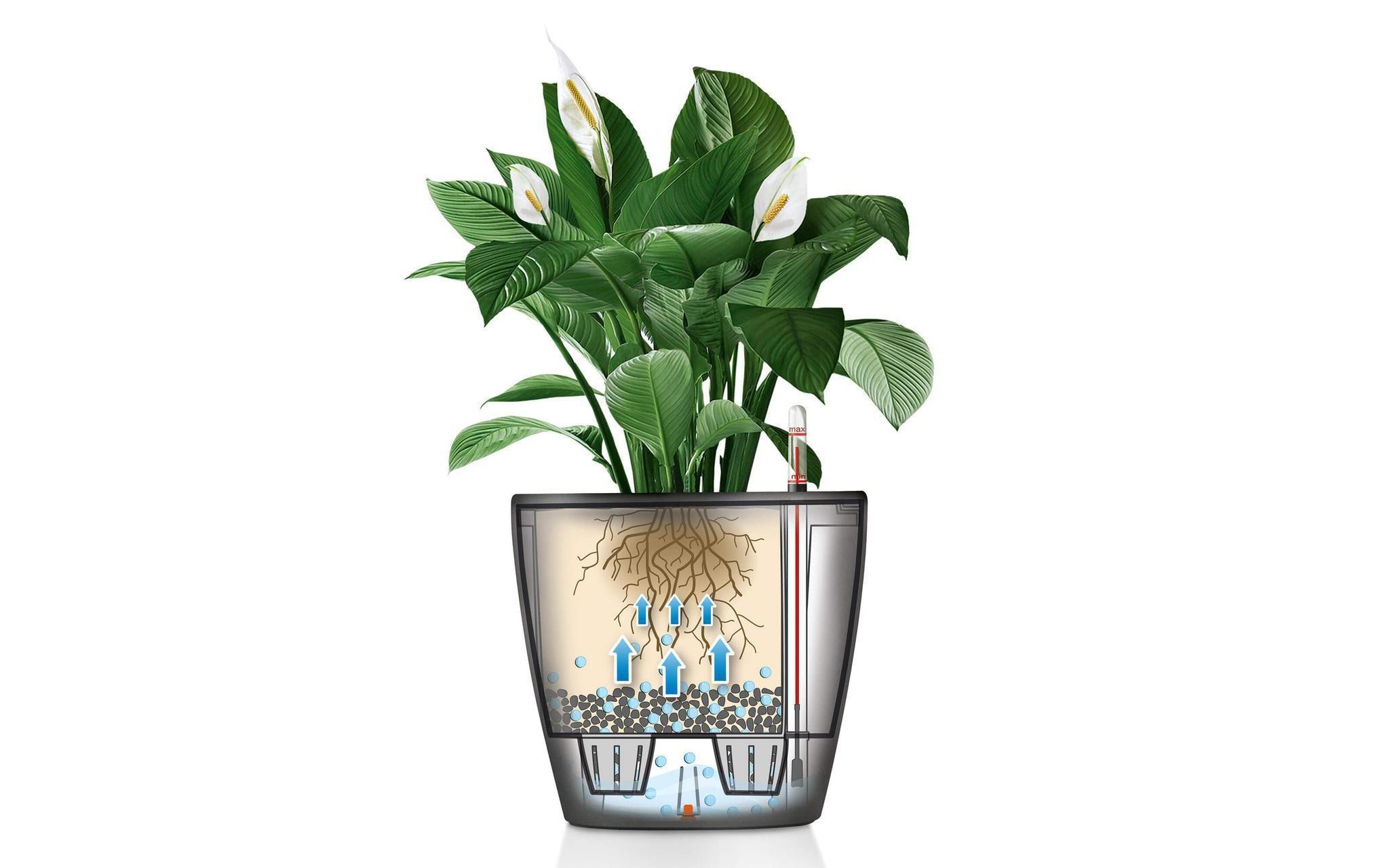 Blumentopf »Lechuza Classico Premium«