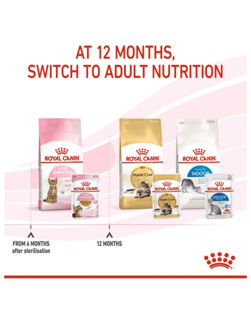 Royal Canin Kitten Sterilised Jelly - Kitten-Kattenvoer - 85 g