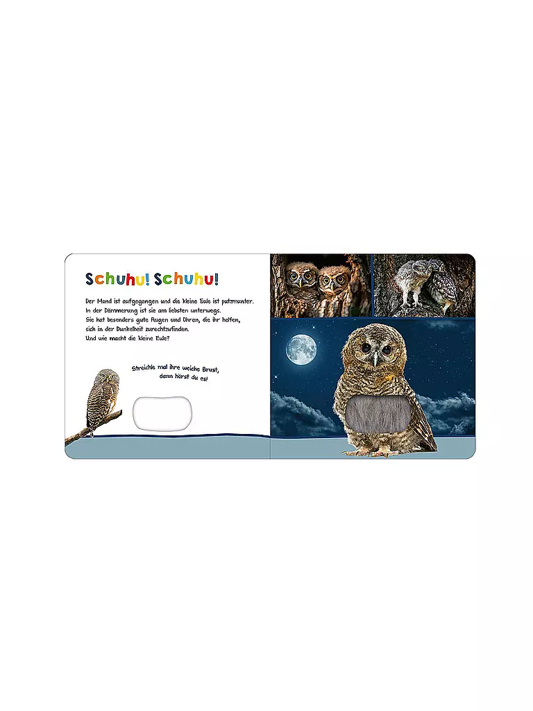 ARS EDITION VERLAG Buch - Hör mal rein, wer kann das sein? – Tiere in der Nacht  keine Farbe