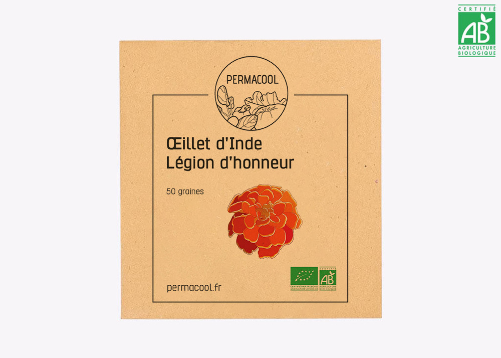 Mon jardin fleuri
