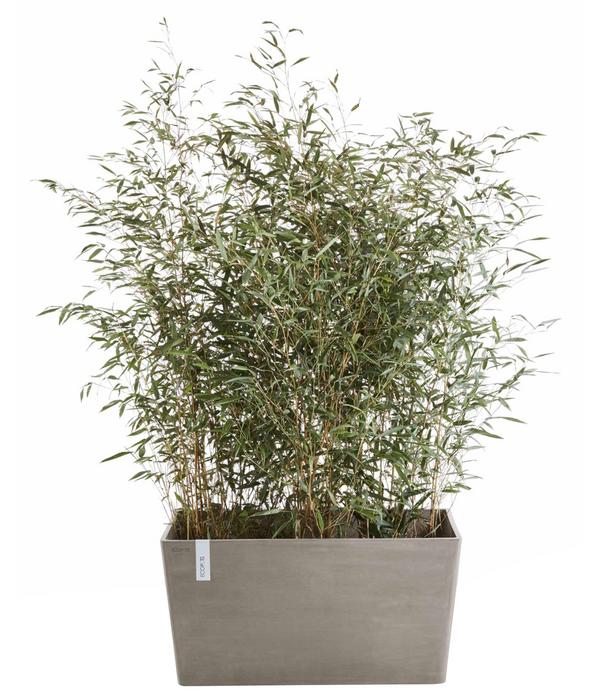 Ecopots Kunststoff-Kasten Paris, rechteckig