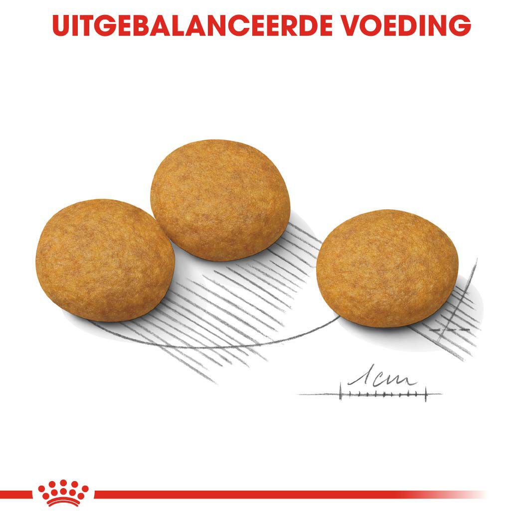 Royal Canin SHN Medium Dermacomfort - Hondenvoer - 3 Kilogram - gevogelte