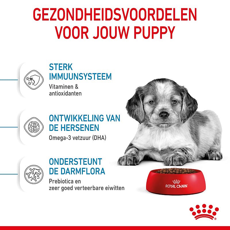 ROYAL CANIN® Medium Dog Junior 10-25 kg - Hondenvoer voor de weerstand en vacht van pups van middelgrote honden