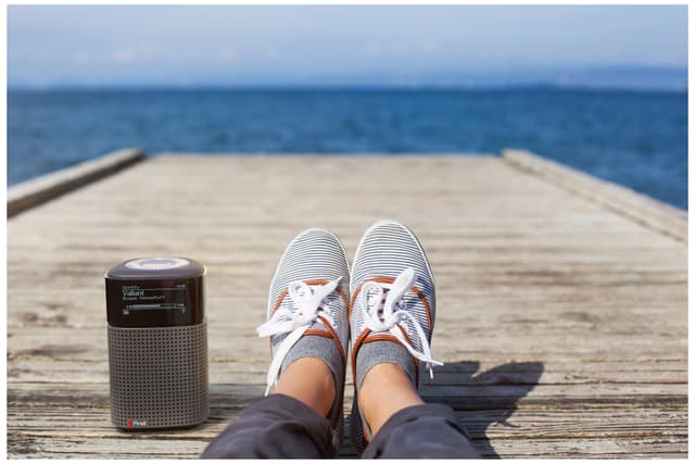 Pinell North bærbar digital radio (ice white)