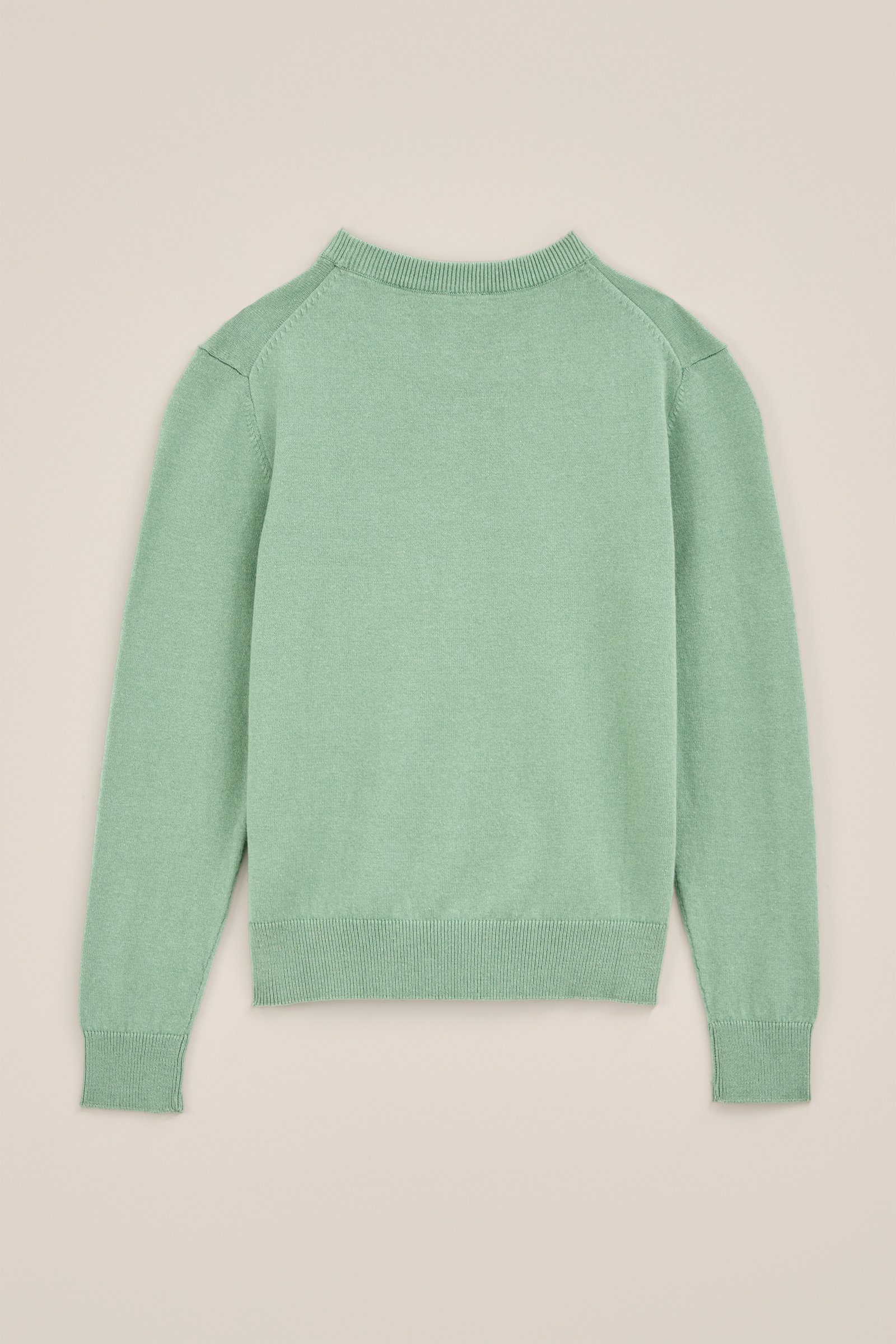Jongens fijngebreide trui WE Fashion Pastelgroen