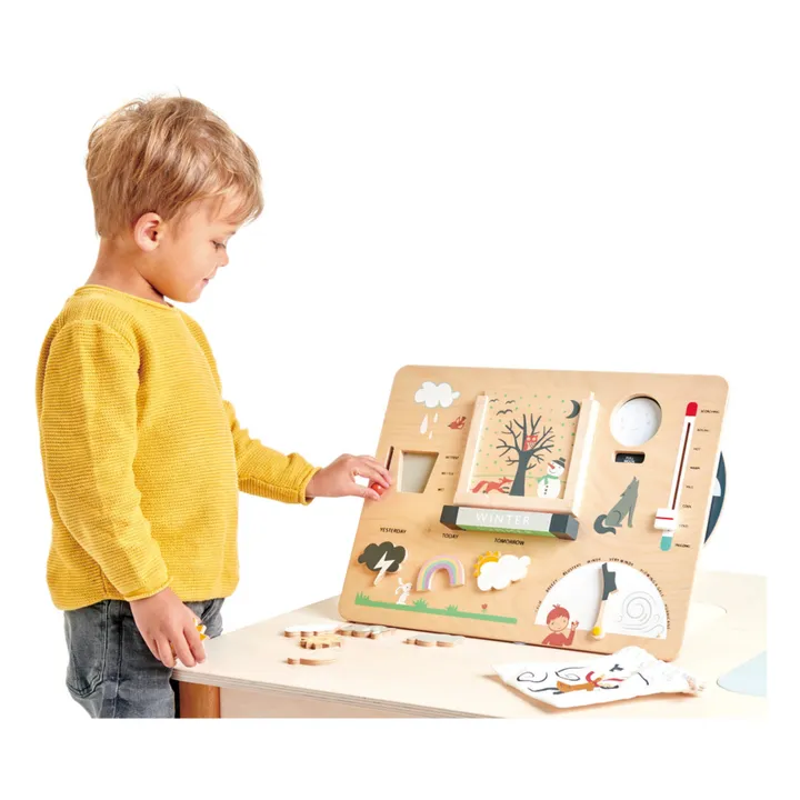 Tender Leaf Toys Station météo en bois - EN