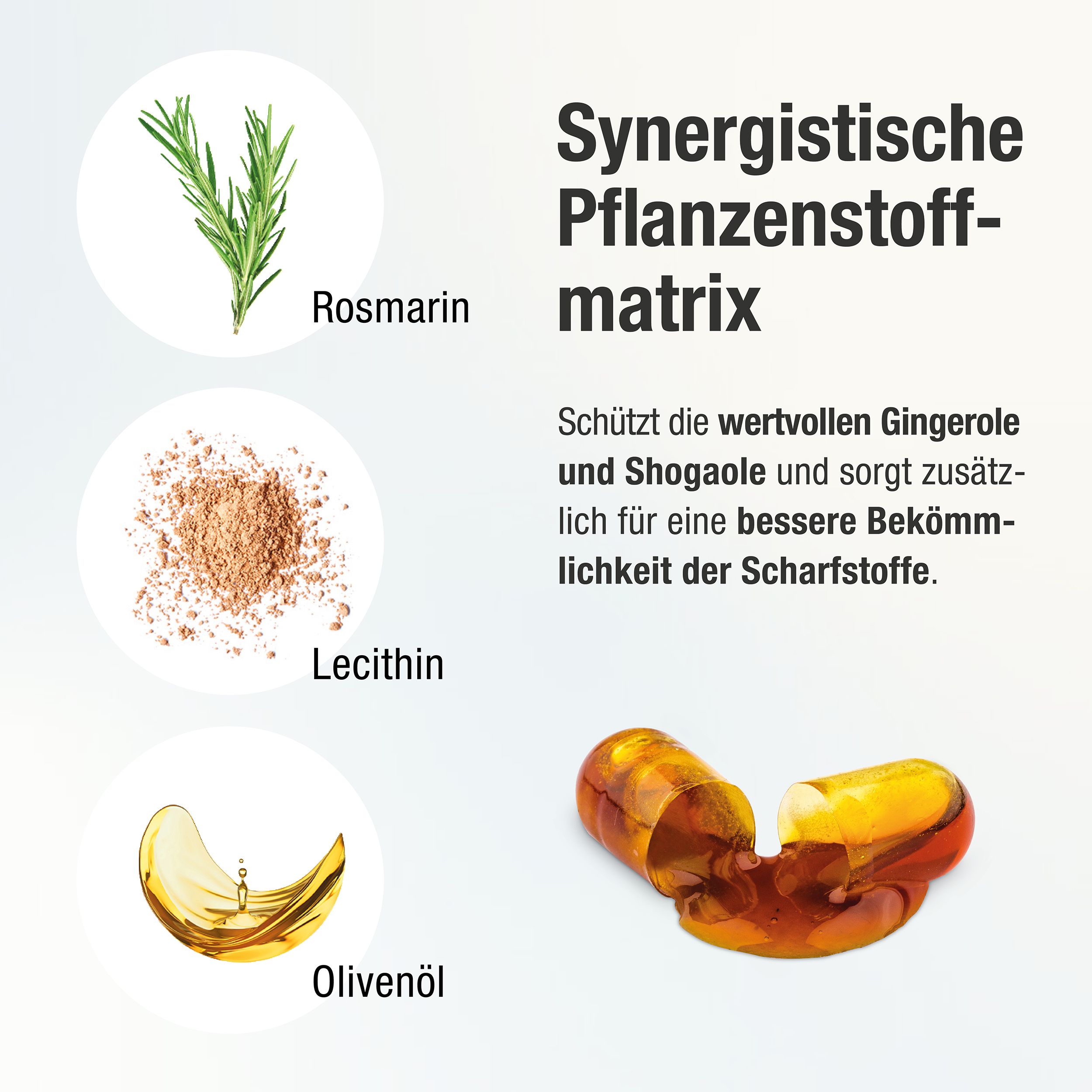 GINGERIN PLUS® Ingwer Kapseln