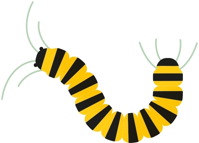 TeKids / TeKids - Entdecke die Insekten