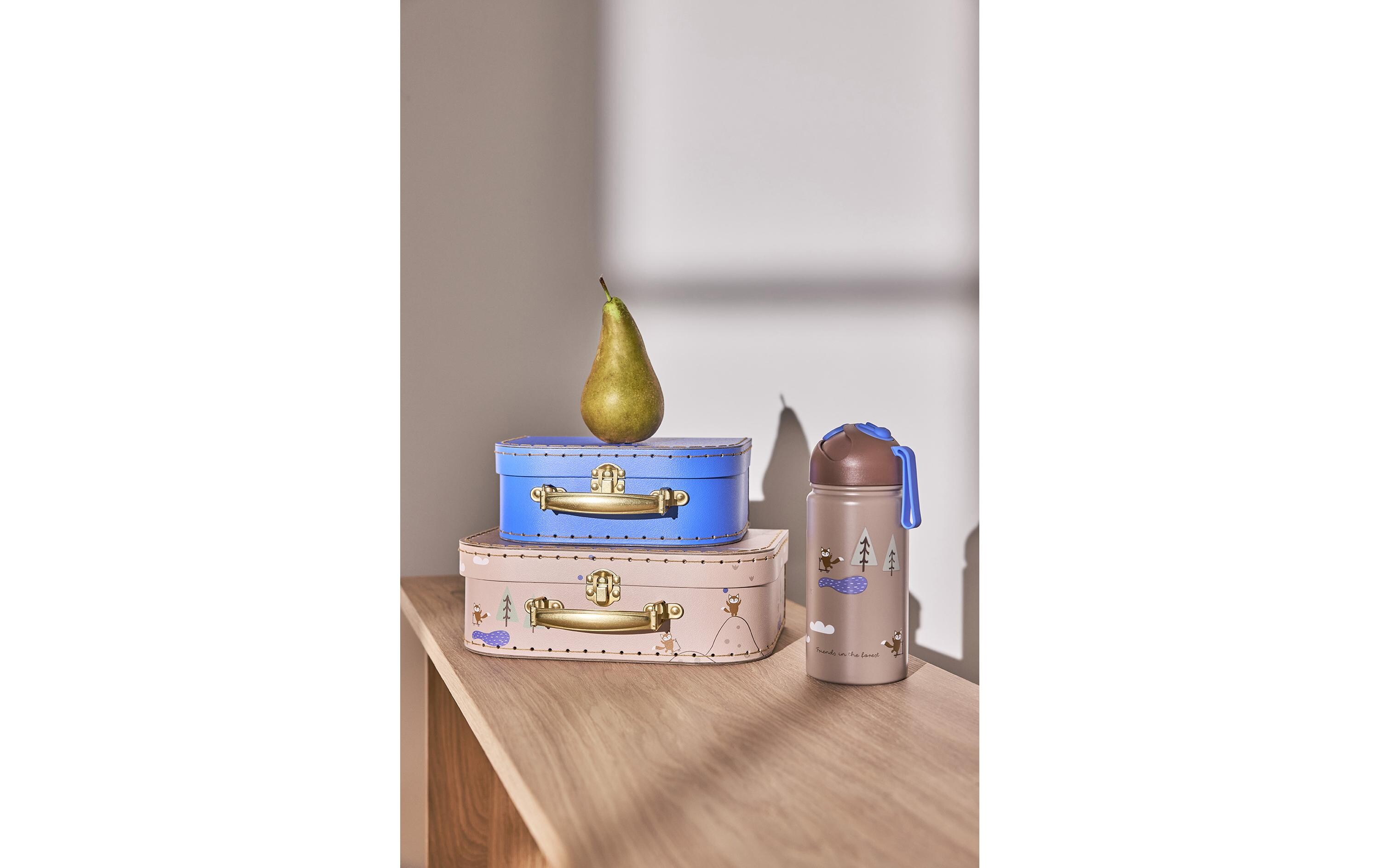 Spielzeugkoffer Fuchs 2 Stück, Beige, Blau2-er Set Mini Kinderkoffer