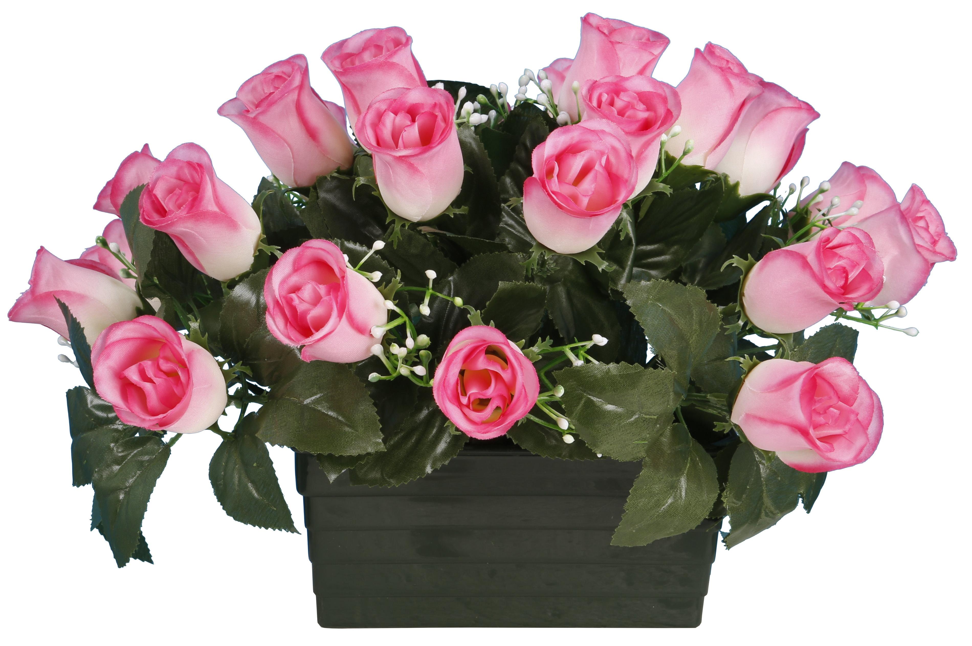JARDINIERE BOUTON ROSE