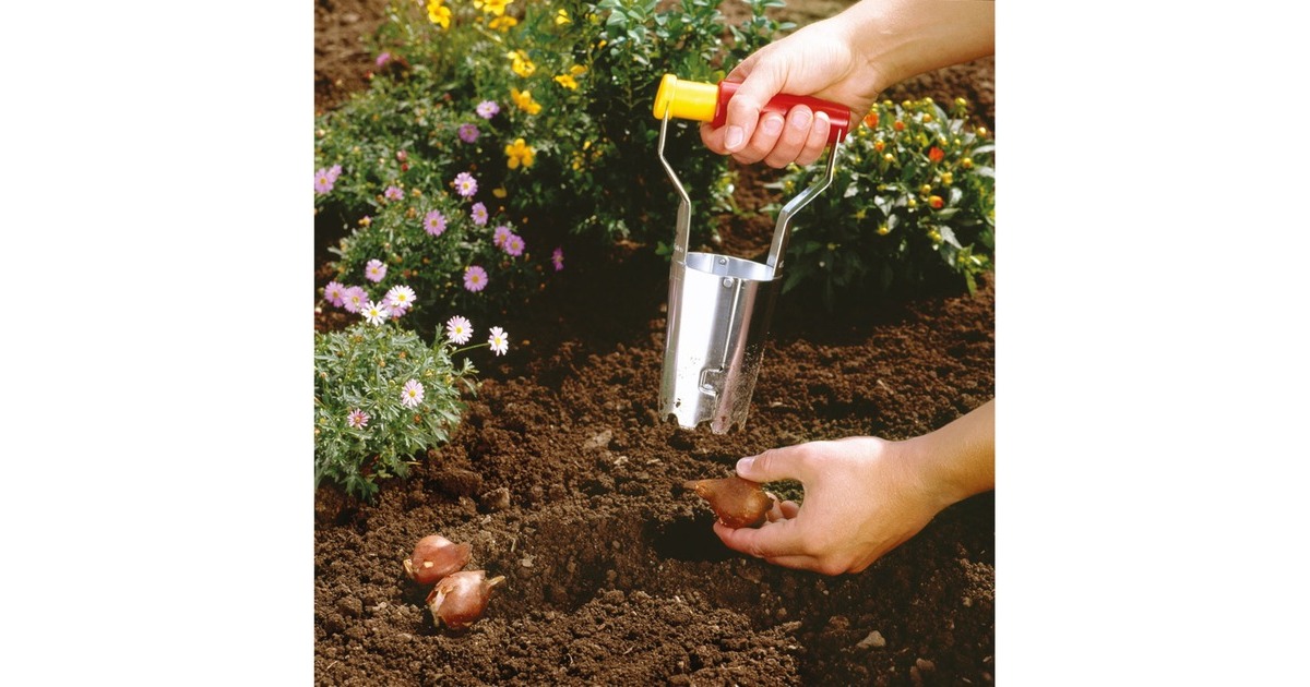 WOLF-GartenFH-N Bollenplanter  (Rood/geel)