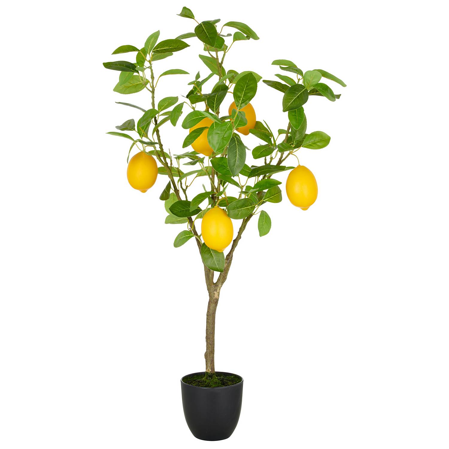 Kunstpflanze Zitronenbaum
