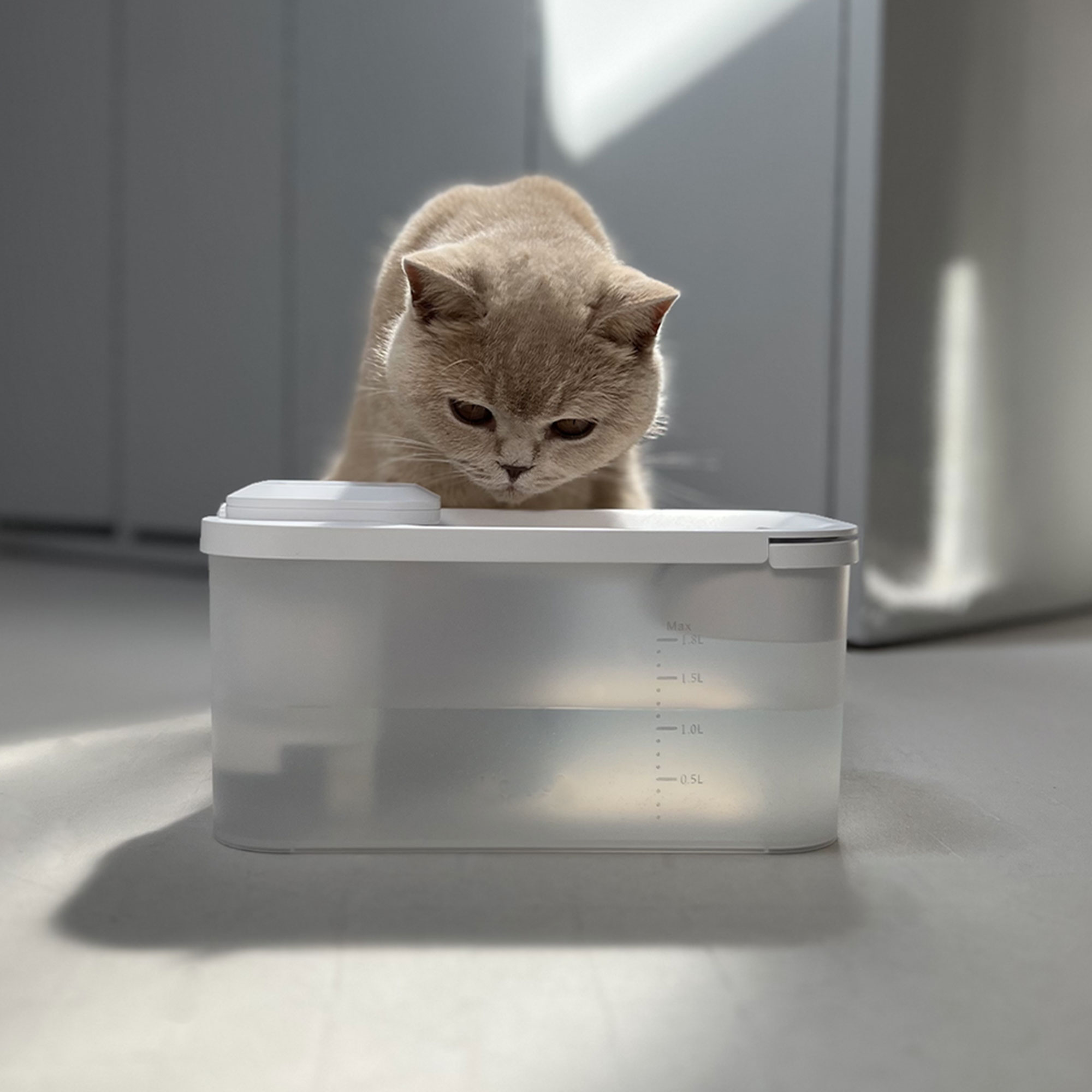 Akoi - fontaine à eau pour chat sans fil, silencieuse, lampe uvc, 24x13x12,5cm