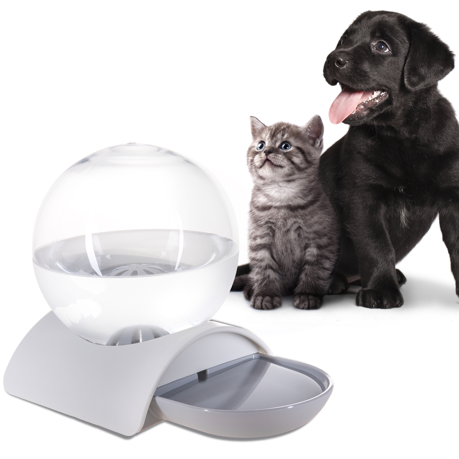 Dispensador automático de água para animais de estimação com reservatório de 2,8 litros.