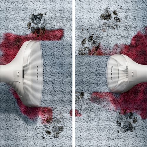 Philips - 3000 Series - Vlekkenreiniger - Wit - 400W