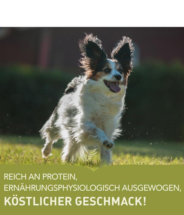 ACANA Trockenfutter für Hunde Heritage Adult