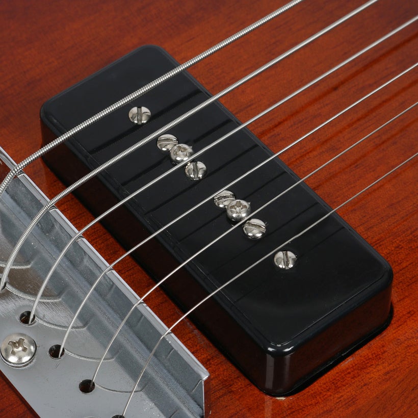Recording King RG-32SN lap steel gitaar