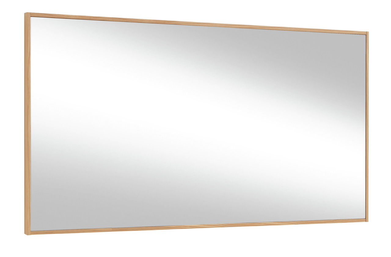 VOSS Spiegel V100