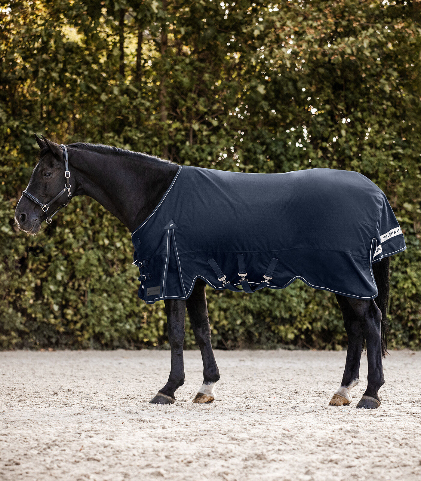 Waldhausen Scandic 200 gr - Winterdeken - Paardendeken - Blauw - 125/175