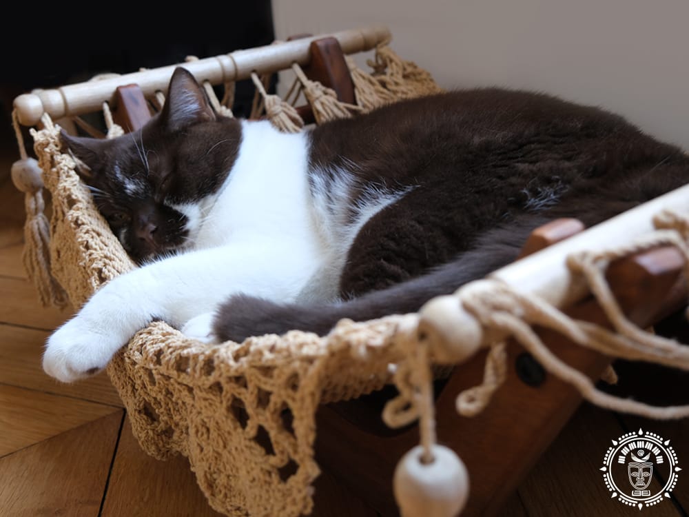 Hamac pour chat taupe + support en bois