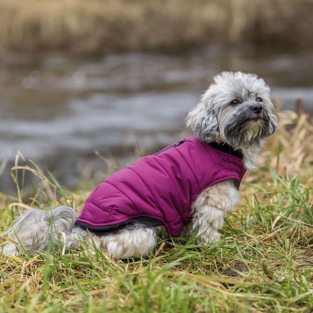 Trixie Hundemantel Arlay
