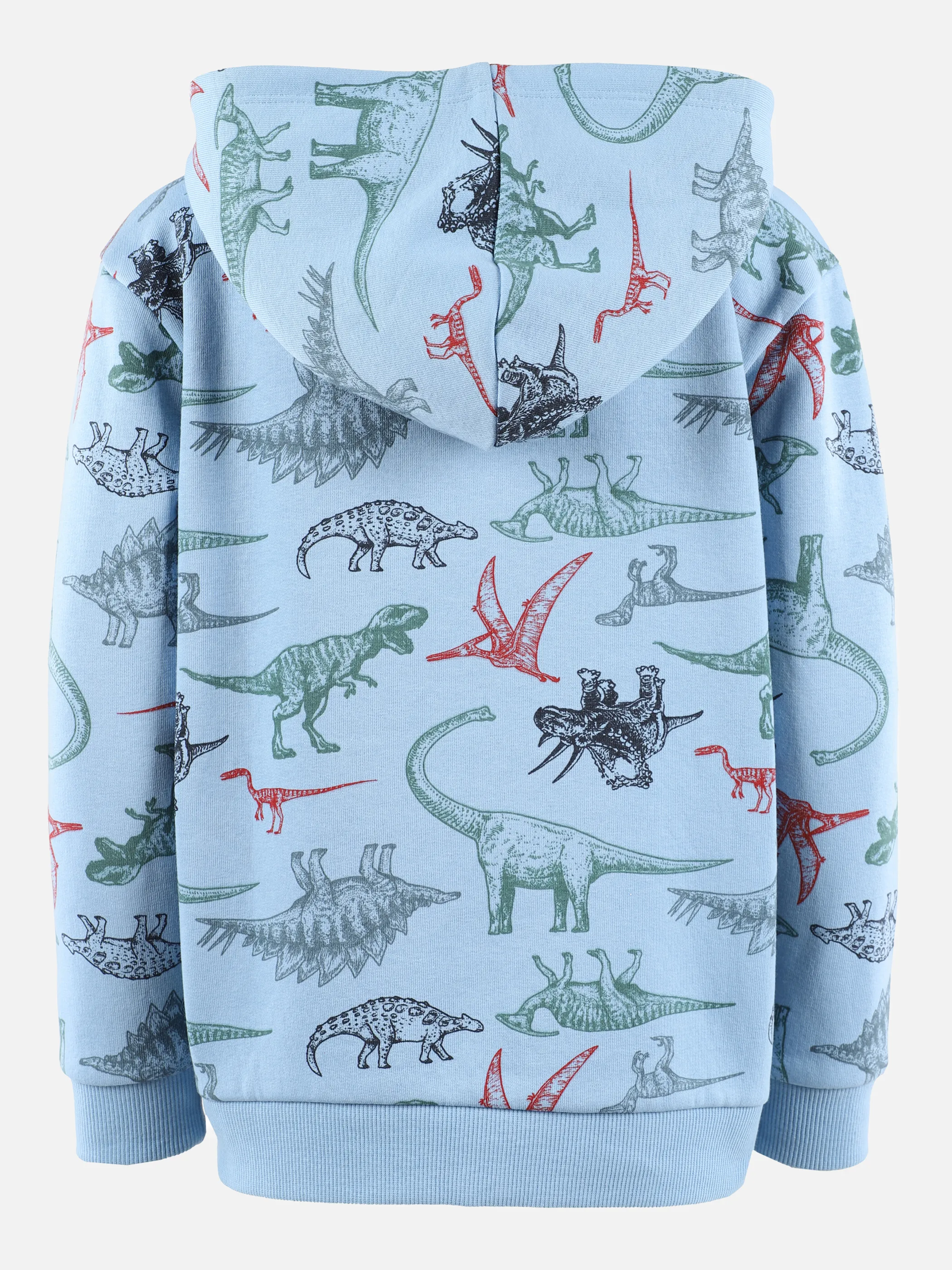 Jungen Hoodie mit Kapuze und Dinoprint