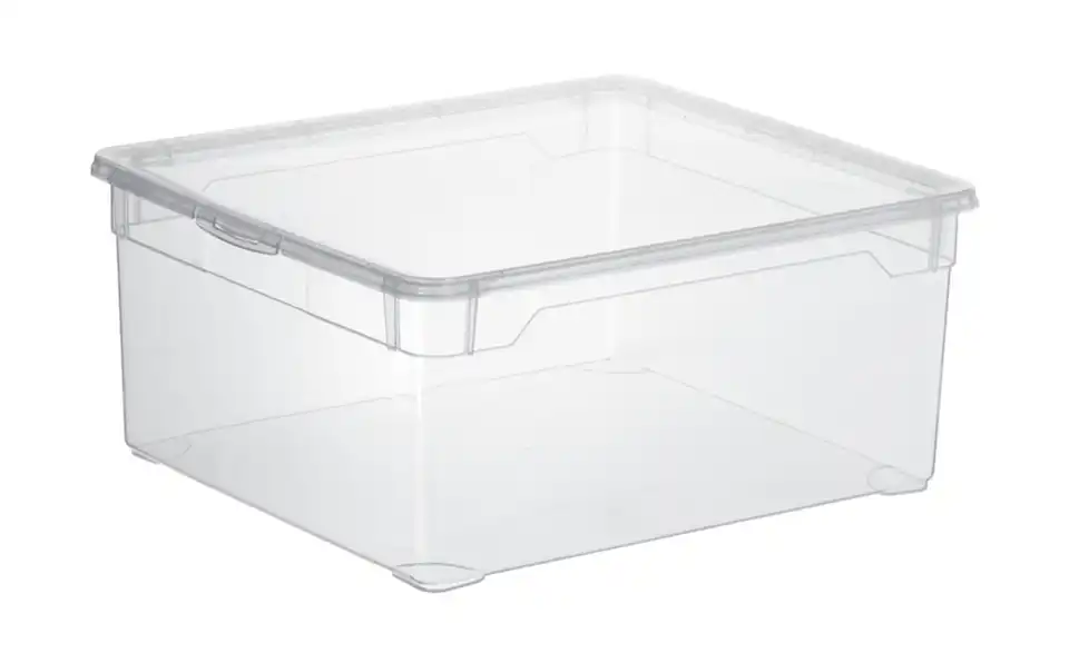 Rotho Aufbewahrungsbox mit Deckel 40 cm