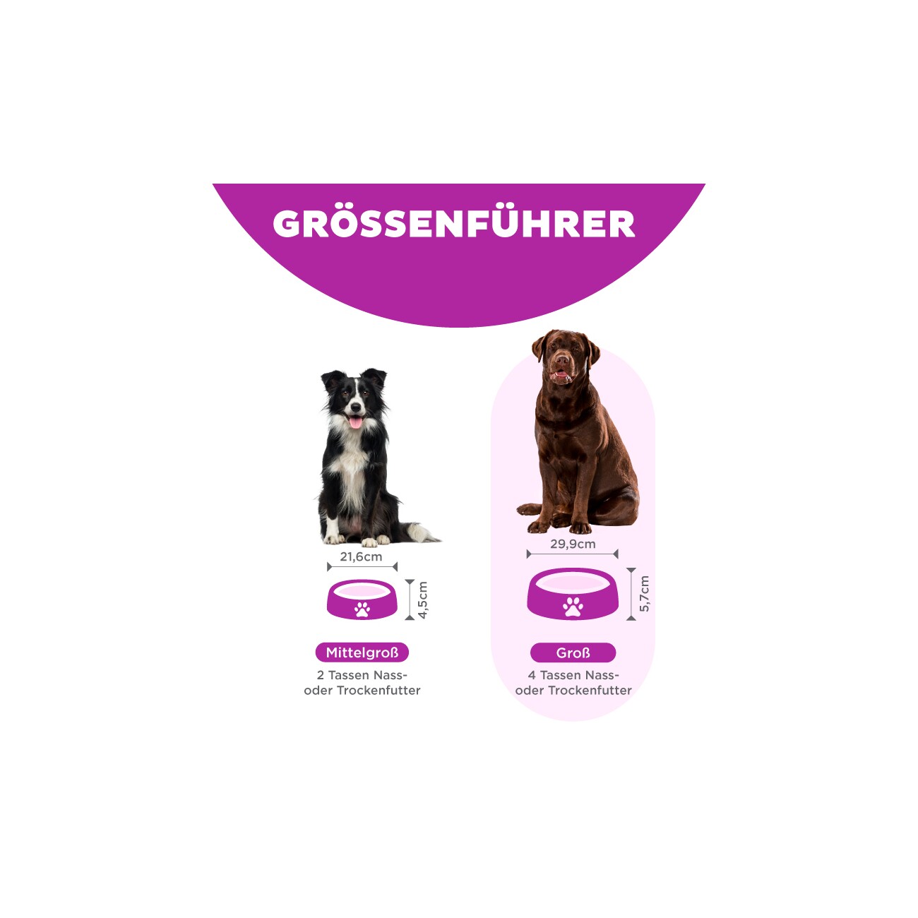 Outward Hound Fun Feeder Slo Bowl