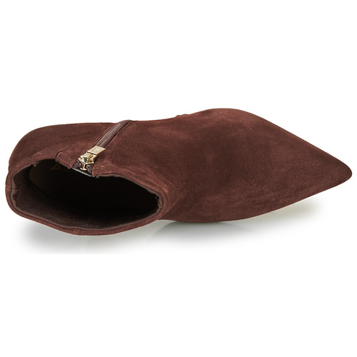 Aldo - HAIRERI - Marron