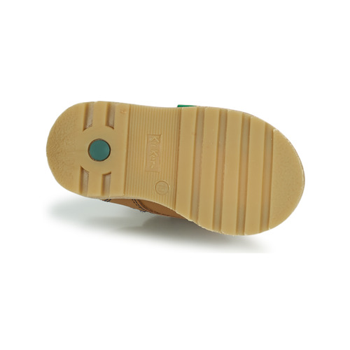 Kickers - NONOMATIC - Camel