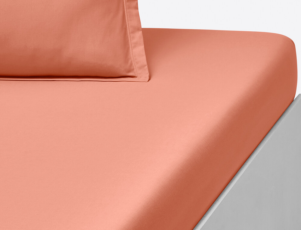 Drap-housse-Coton fin